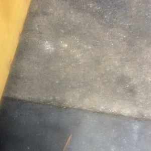 Meet your Posher, Shawn